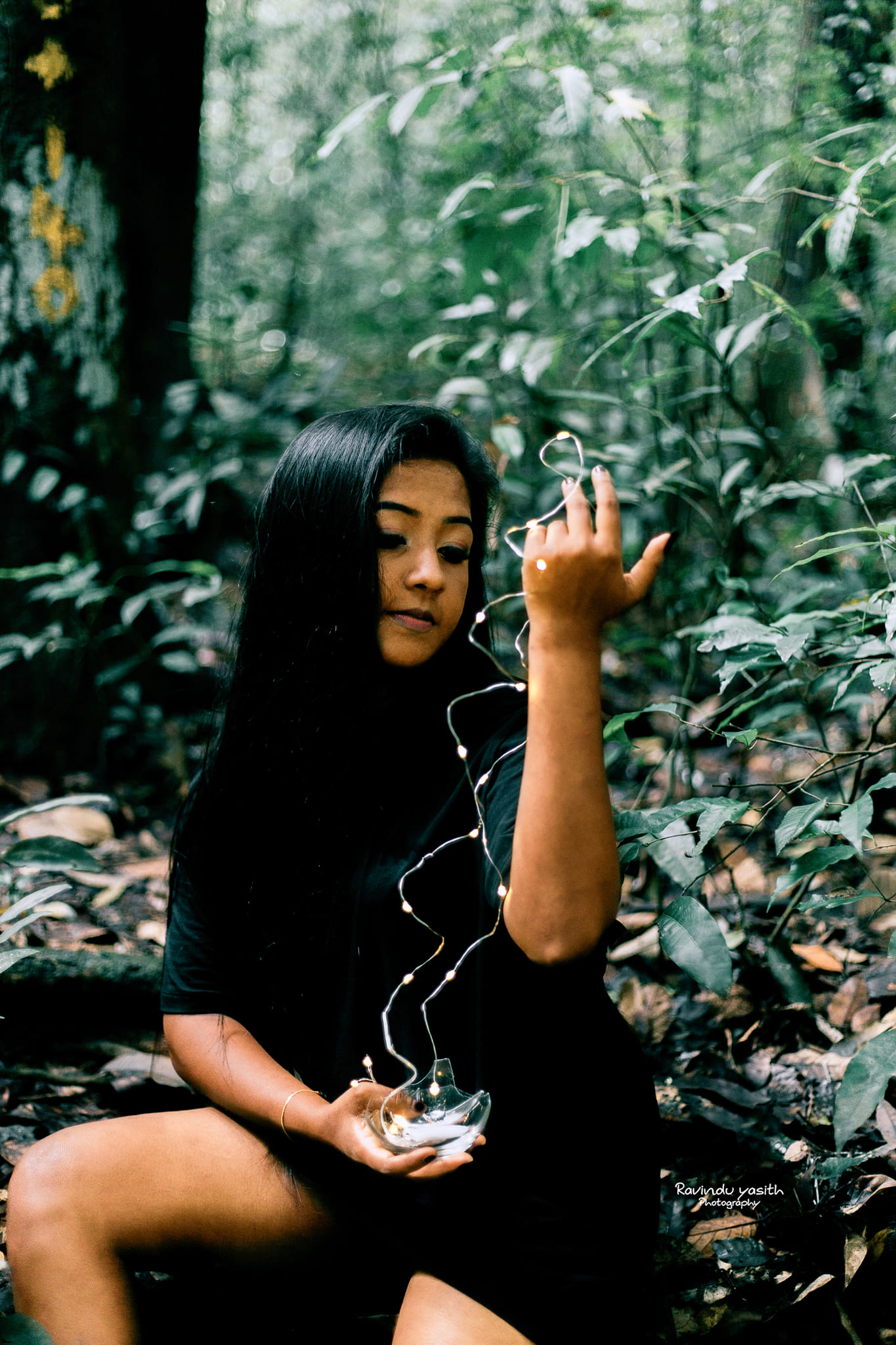 Dinu - Image 4